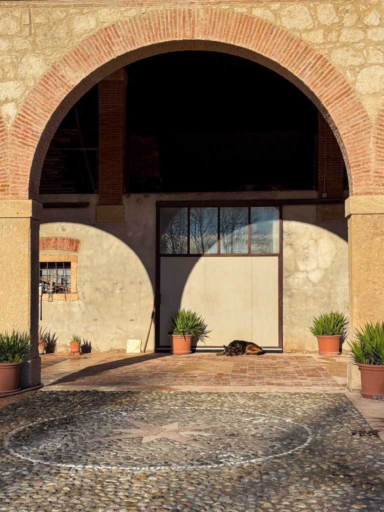 Nuovo porticato ristrutturato con cane che dorme